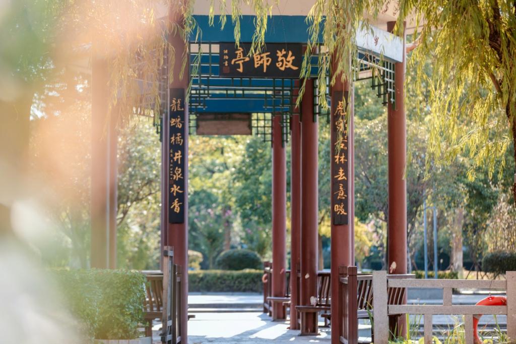 中流击水 “医”脉相传——记2024年全国教育系统先进集体雷火电竞亚洲官网_fororder_图片3